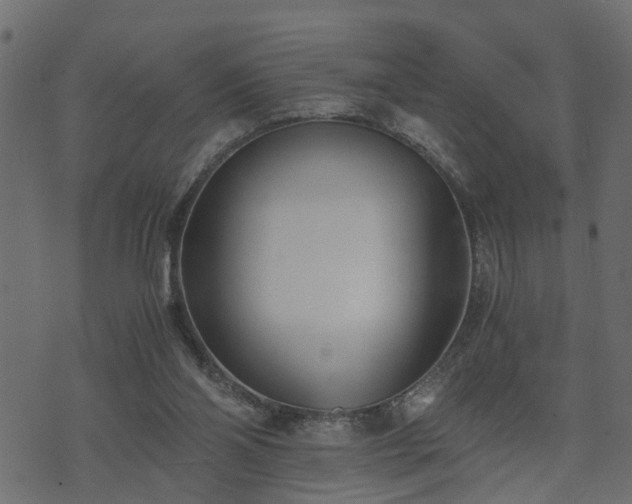 X0000073900110200608181009