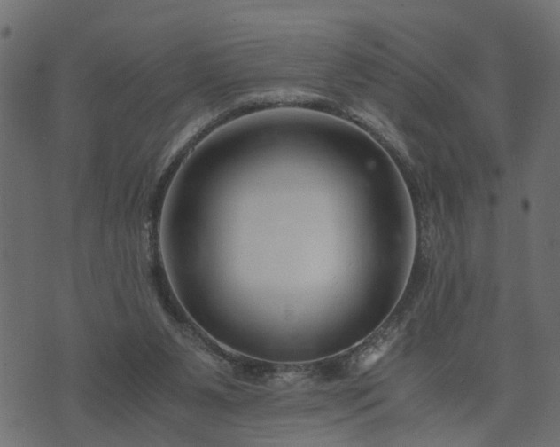 X0000073900111200608181009