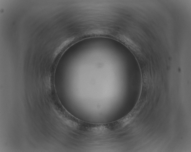 X0000073900112200608181009