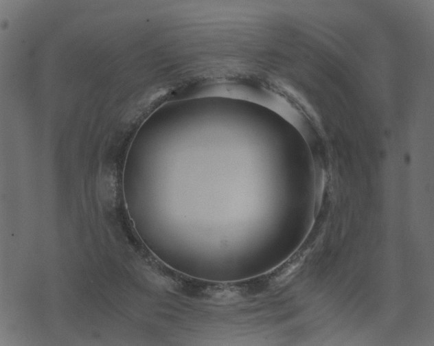 X0000073900113200608181009