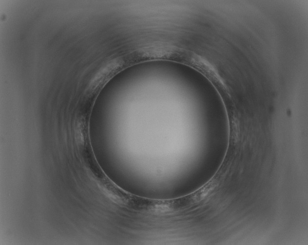 X0000073900114200608181008