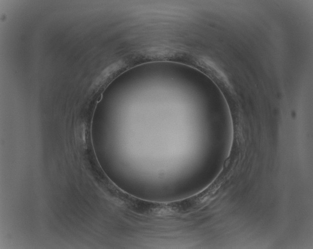 X0000073900115200608181008