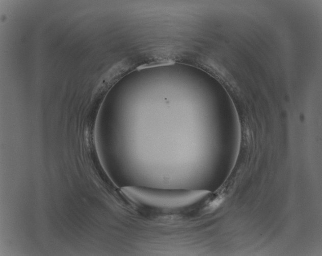 X0000073900117200608181008