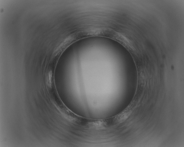 X0000073900118200608181008