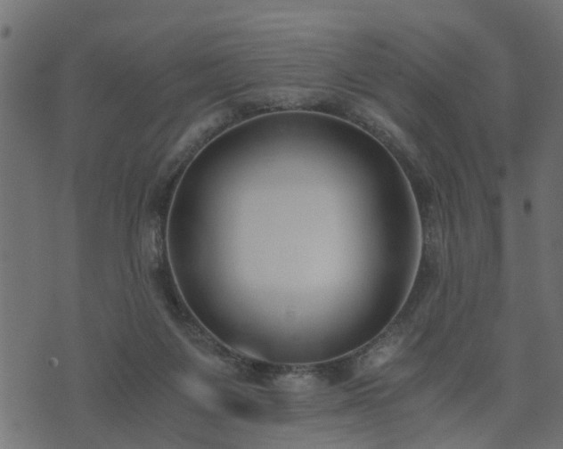 X0000073900119200608181008