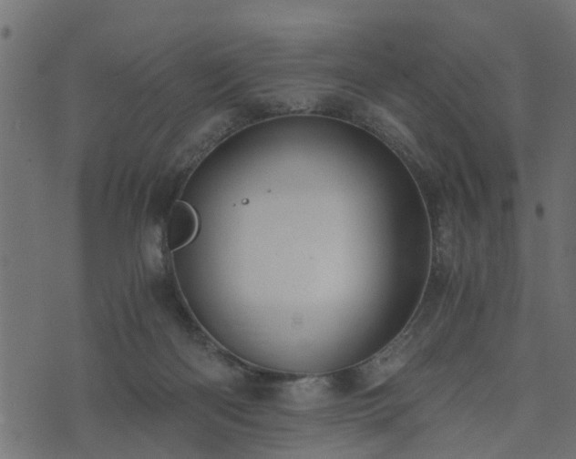 X0000073900122200608181008