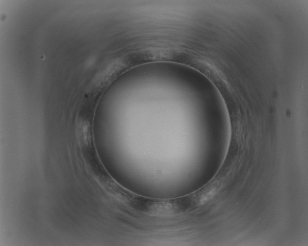 X0000073900123200608181008