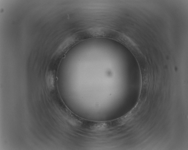 X0000073900124200608181008