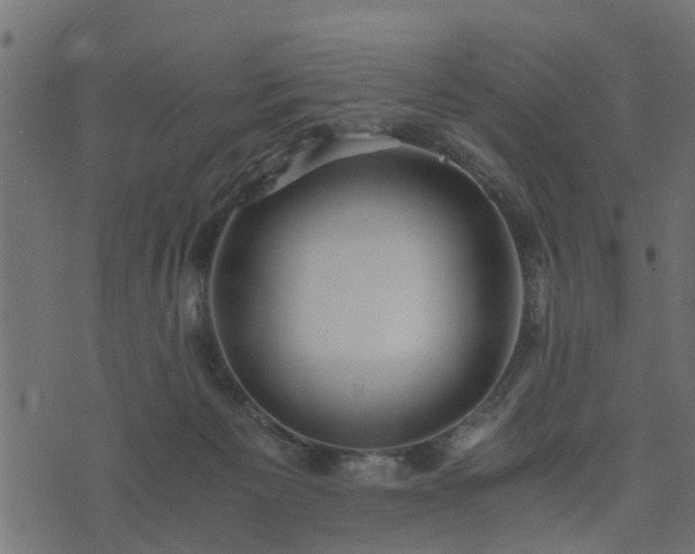 X0000073900125200608181008