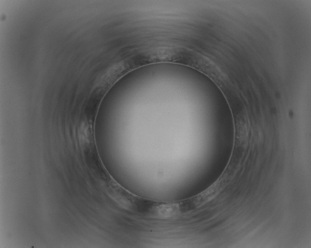 X0000073900126200608181008