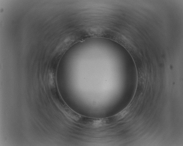 X0000073900130200608181008