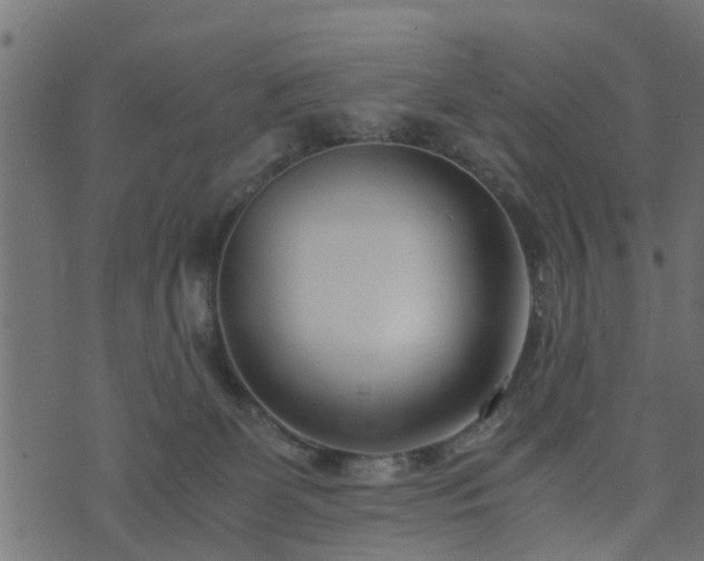 X0000073900131200608181008