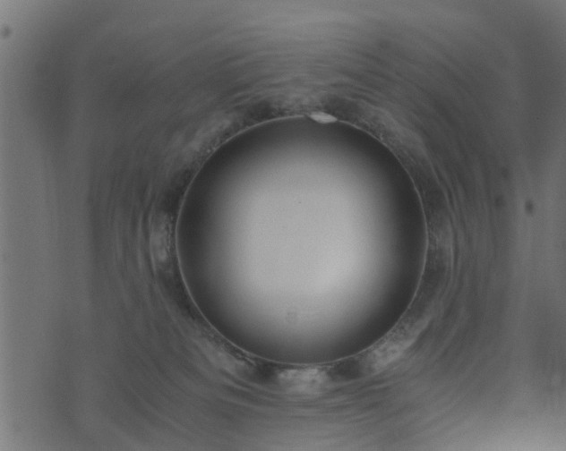 X0000073900133200608181008