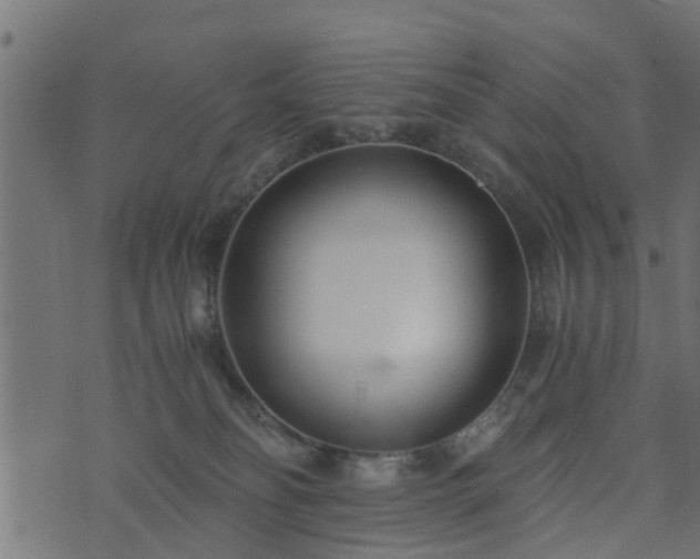 X0000073900134200608181008