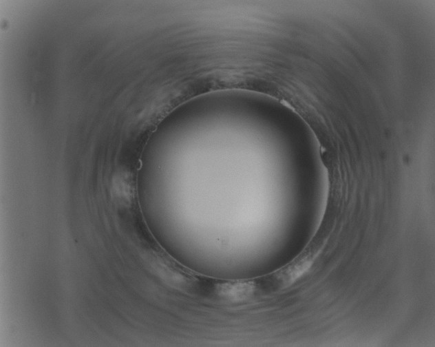 X0000073900135200608181008