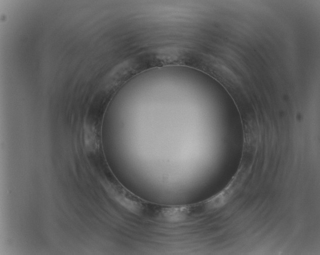 X0000073900136200608181008