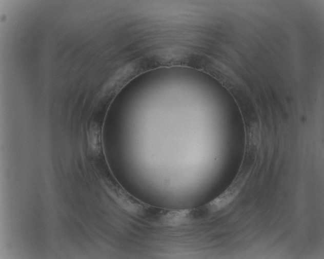 X0000073900138200608181008