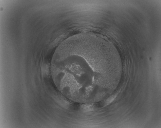 X0000073900139200608181008