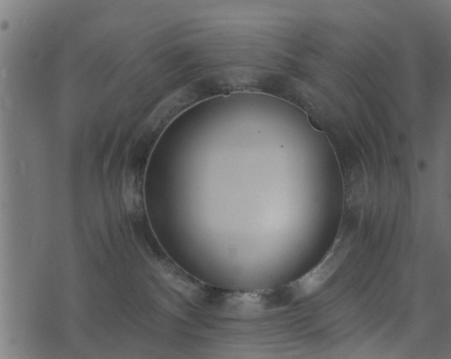 X0000073900140200608181008