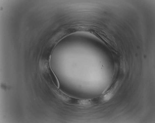 X0000073900141200608181008