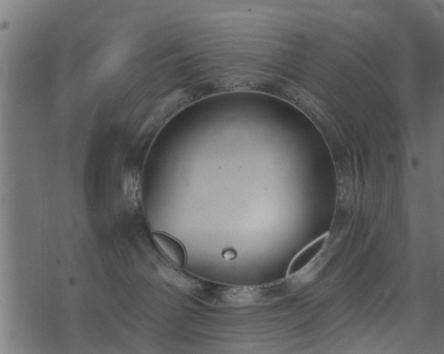 X0000073900142200608181008