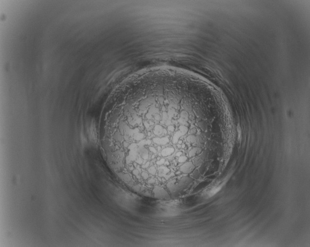 X0000073900143200608181008