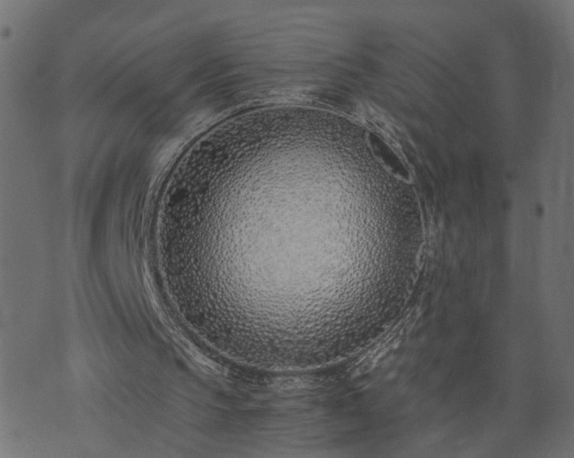 X0000073900145200608181007