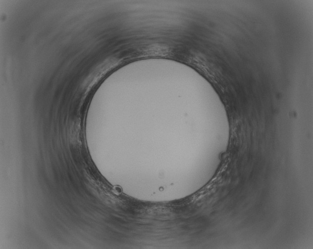 X0000073900146200608181007