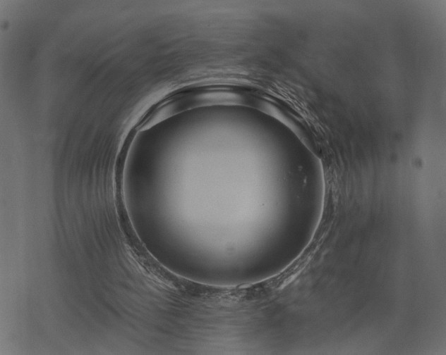 X0000073900148200608181007