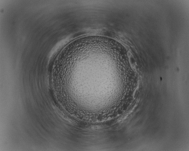 X0000073900149200608181007