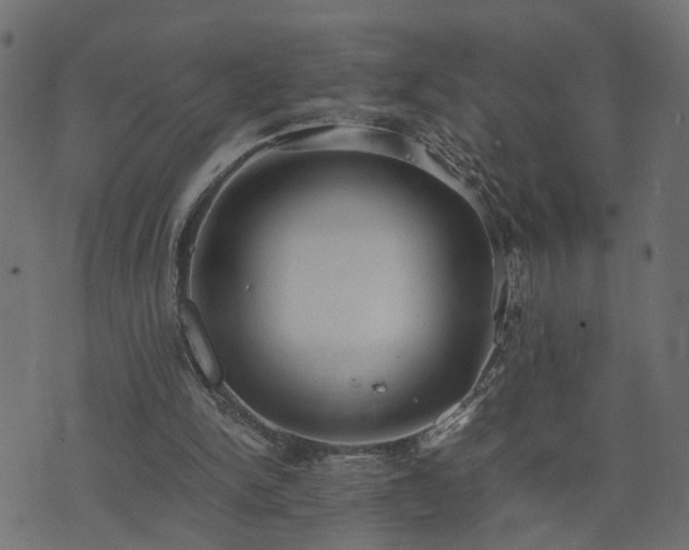 X0000073900150200608181007