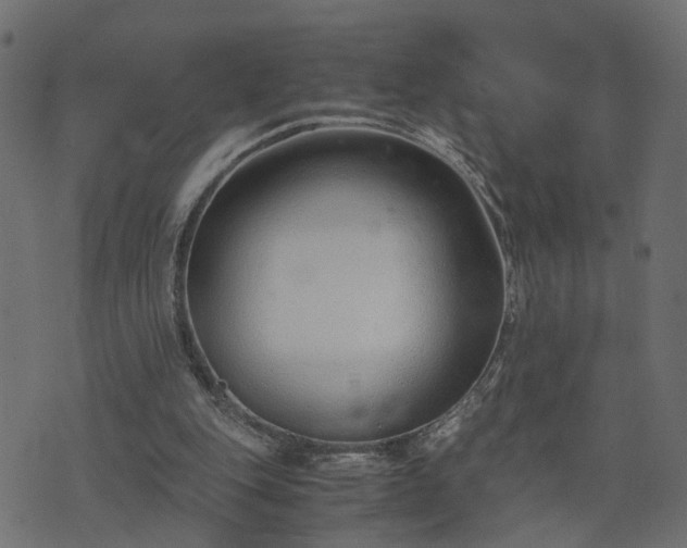 X0000073900151200608181007