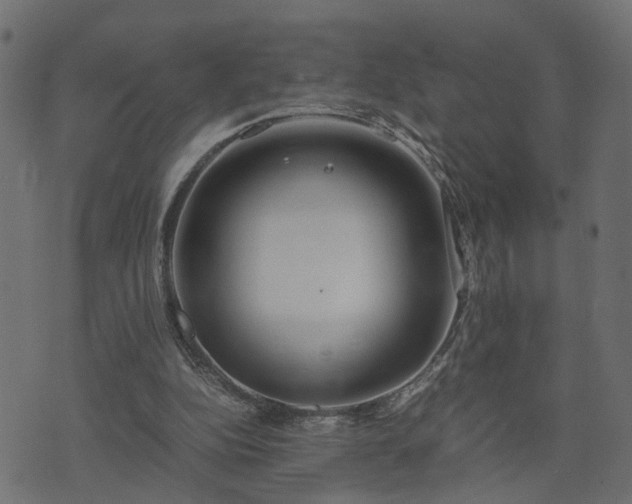 X0000073900152200608181007