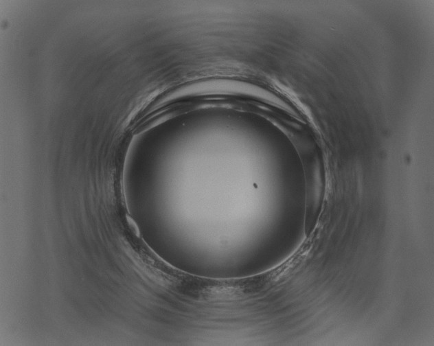 X0000073900154200608181007