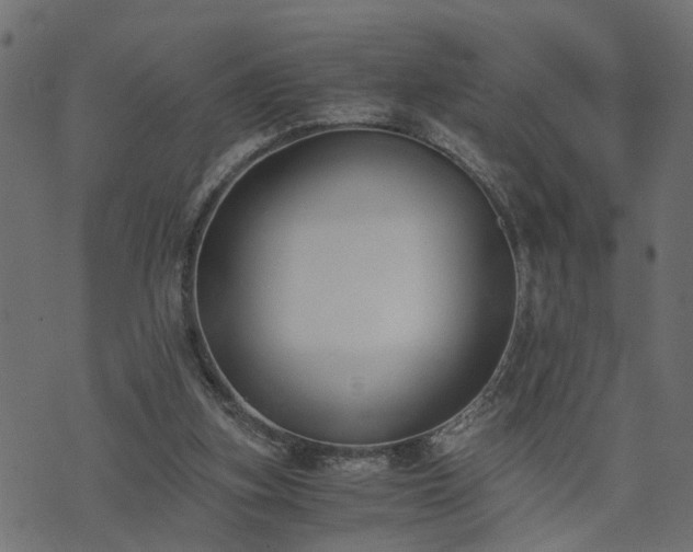 X0000073900155200608181007