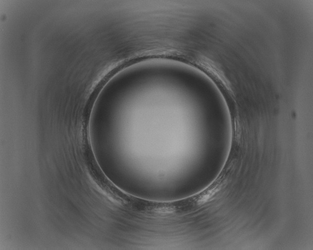 X0000073900156200608181007