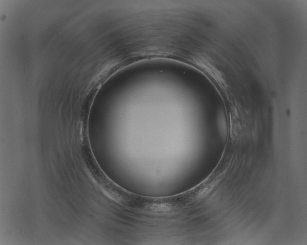 X0000073900157200608181007