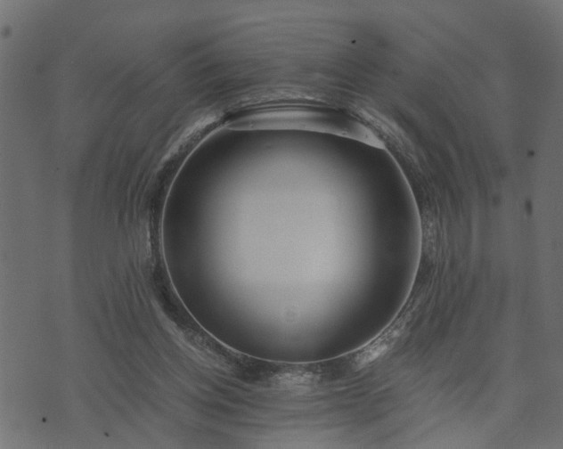 X0000073900158200608181007