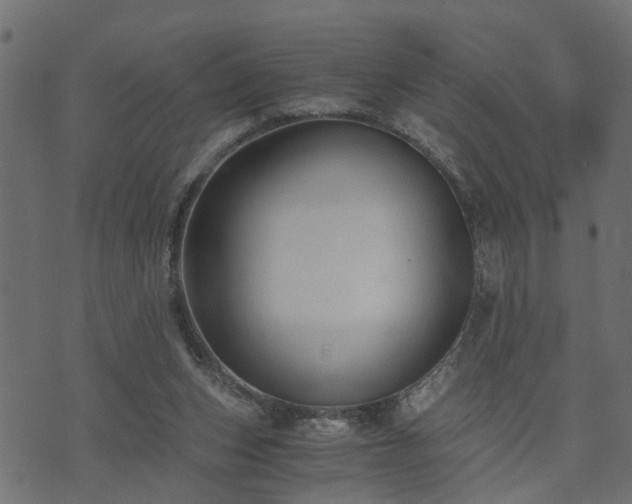 X0000073900159200608181007