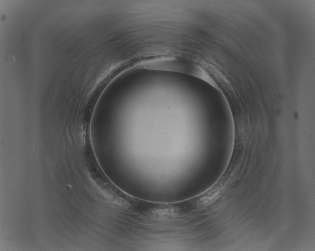 X0000073900160200608181007