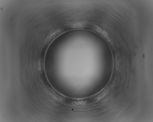 X0000073900161200608181007