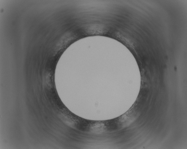 X0000073900162200608181008