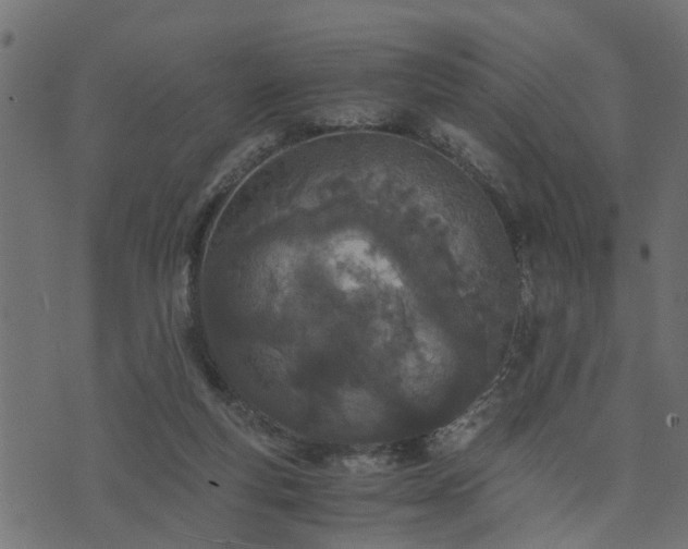 X0000073900163200608181008