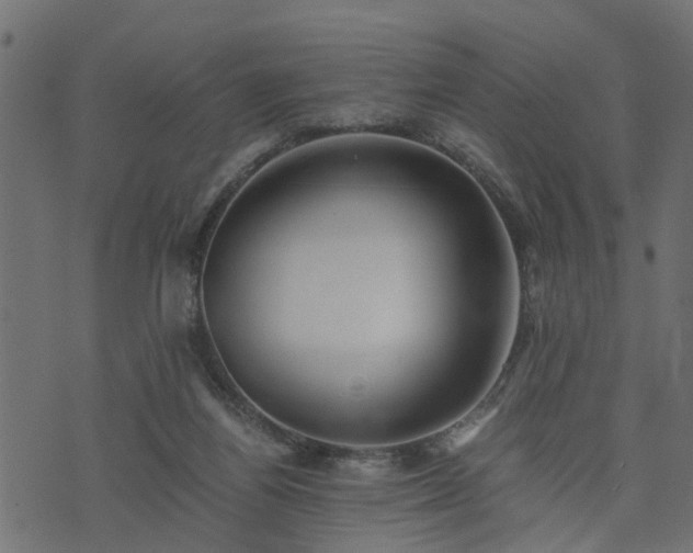 X0000073900164200608181008