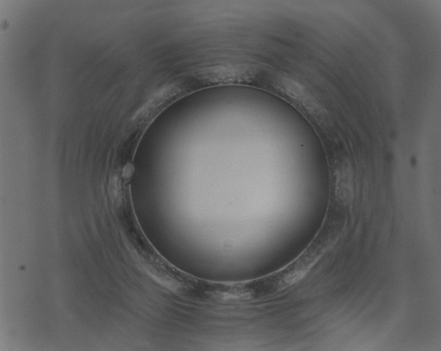 X0000073900165200608181008