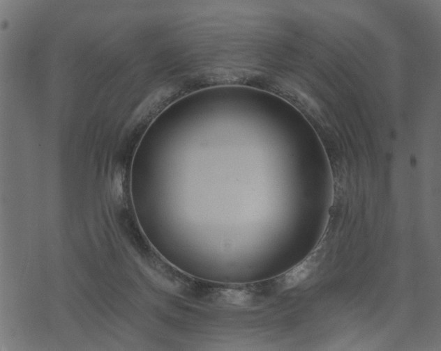 X0000073900166200608181008