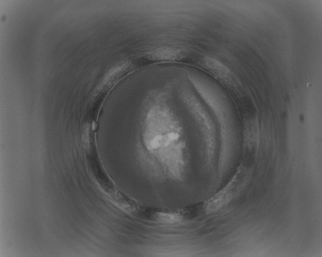 X0000073900167200608181008