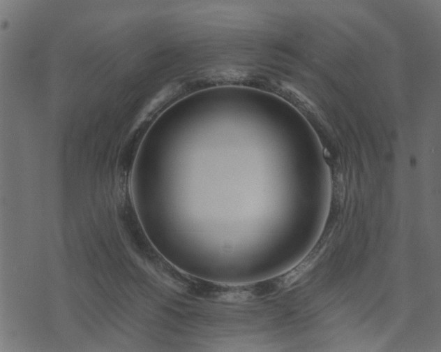 X0000073900168200608181008