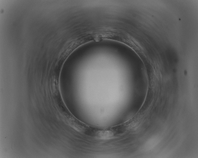 X0000073900169200608181008