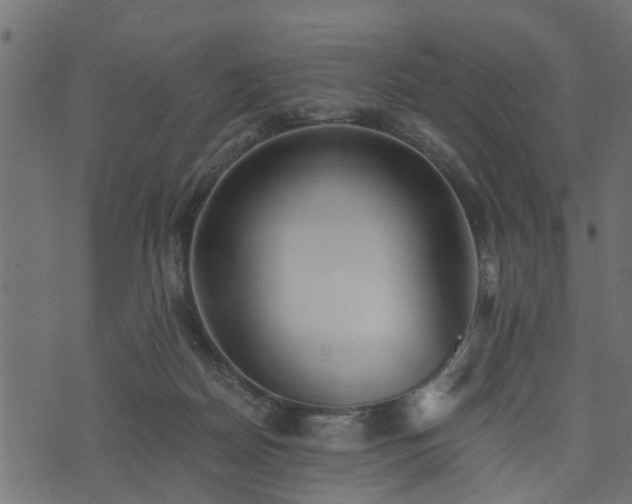 X0000073900170200608181008